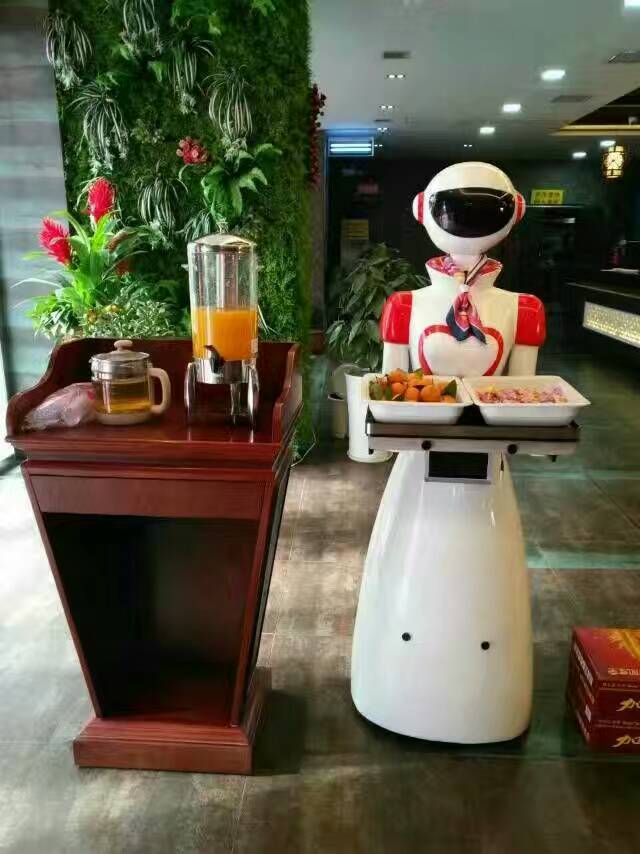 中国机器人出口海外成“仓管能手”